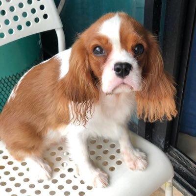 tw_fernet's profile picture. When I do not read for memories I read to forget. -baifern-