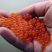 AquaLeap (@aqua_leap) 's Twitter Profile