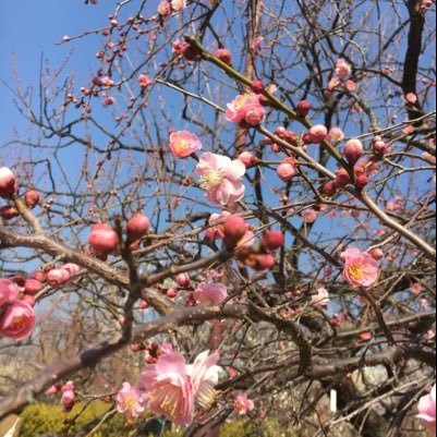 tttoko0302's profile picture. 