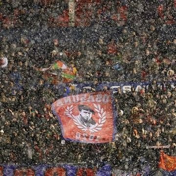 subiarraizarra's profile picture. C.A.O