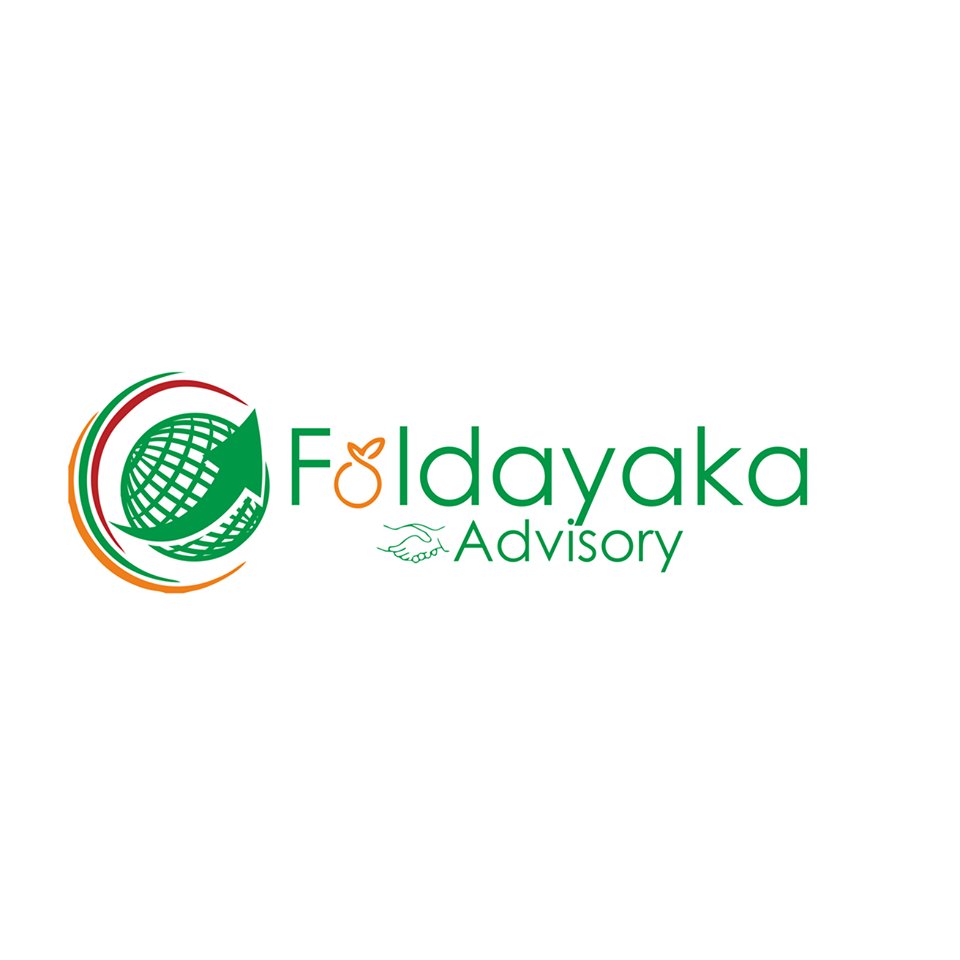 Faldayakas's profile picture. As a leading stock broking and wealth management firm, we are revolutionizing the face of retail investing in India with a tech-edge. A very young company.
