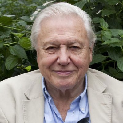 Is Sir David Attenborough still alive? Check here for daily updates