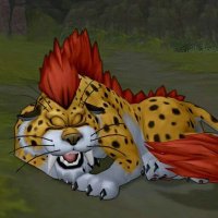 ใญใฟใฏ (@kitaku2kitaku) 's Twitter Profile Photo ใญใฟใฏ (@kitaku2kitaku) 's Twitter Profile Photo