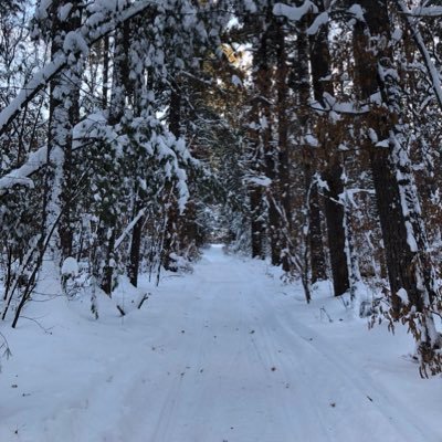 kaglarson's profile picture. 