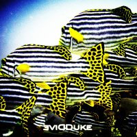 DiveDuke (@diveduke) 's Twitter Profile