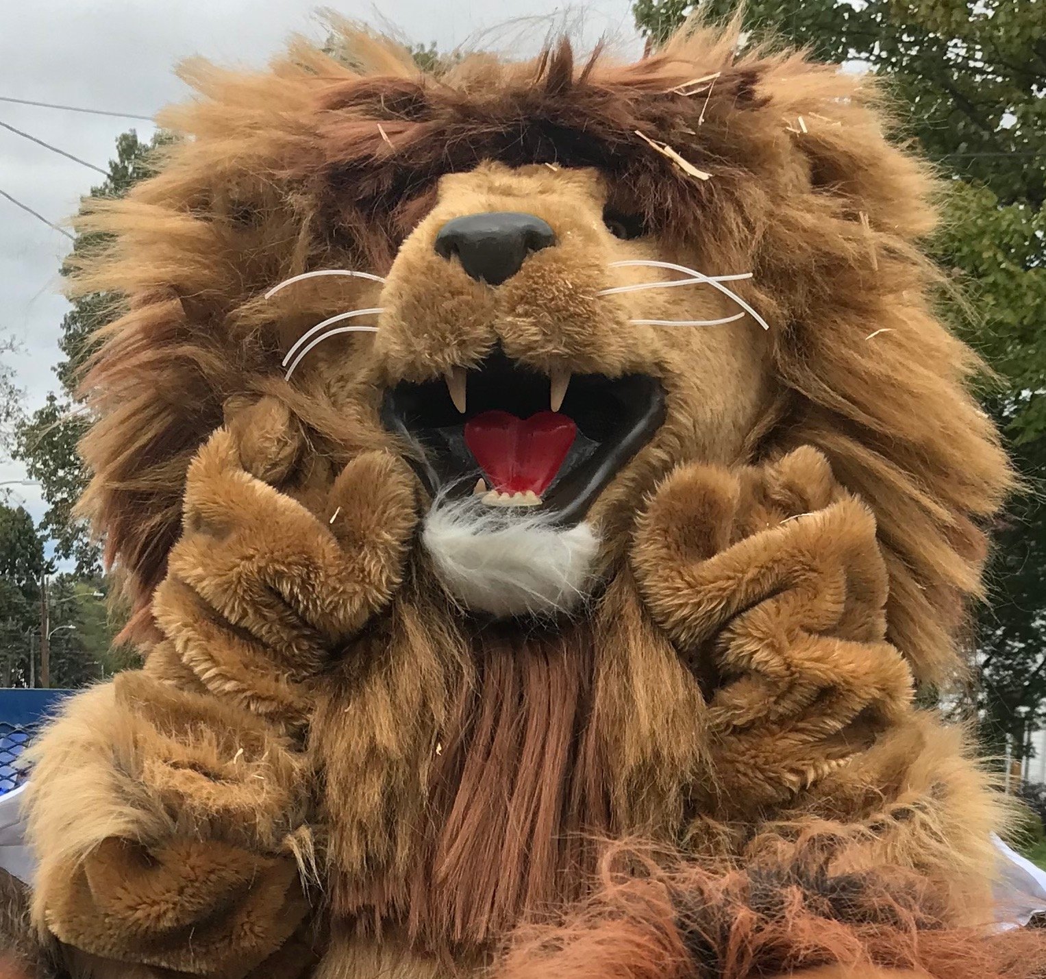 GenoaTheLion's profile picture. The one and true mascot of @NitschmannMS