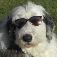 Markool8 We are being lied to (@markool8) 's Twitter Profile