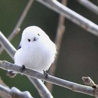 qoqto1120 (@namkong123) 's Twitter Profile