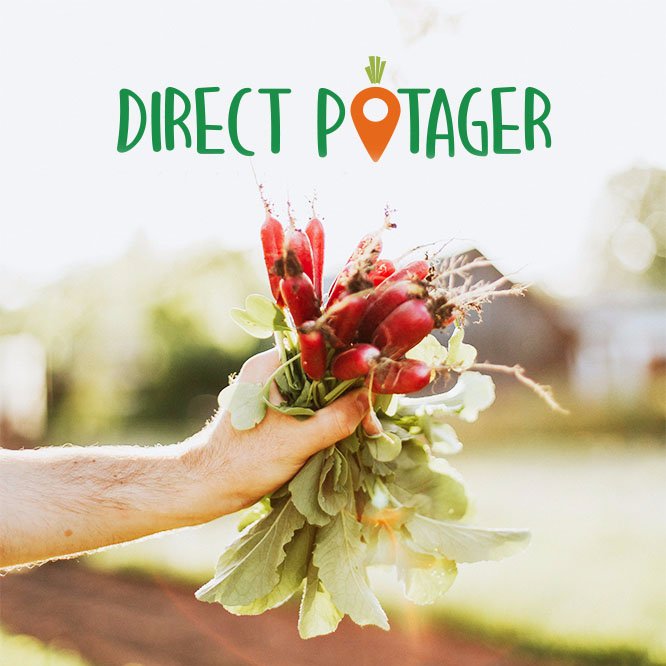 DirectProducteur 🥕| site de mise en relation directe des consommateurs avec des producteurs (pro & amateur) de fruits, légumes, miel, œufs, fleurs... 👨🏻‍🌾