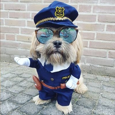 Gepensioneerd, dierenliefhebber getrouwd met de liefste vrouw van de wereld.