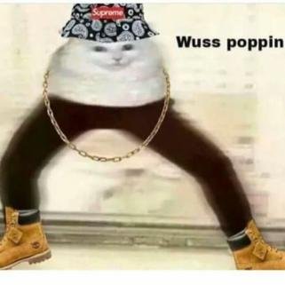 Sigmaknight_'s profile picture. Hi