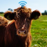IRE Research @ Falmouth (@researchire) 's Twitter Profile