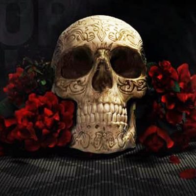 ERNESTOELANGEL's profile picture. EL ANGEL