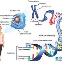 DNA Reveals(@DNAreveals) 's Twitter Profile Photo
