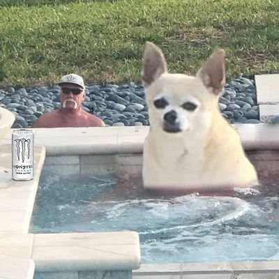 The Autist formerly known as Meme Force Doggo.
Follow for jokes that you aren't allowed to laugh at.