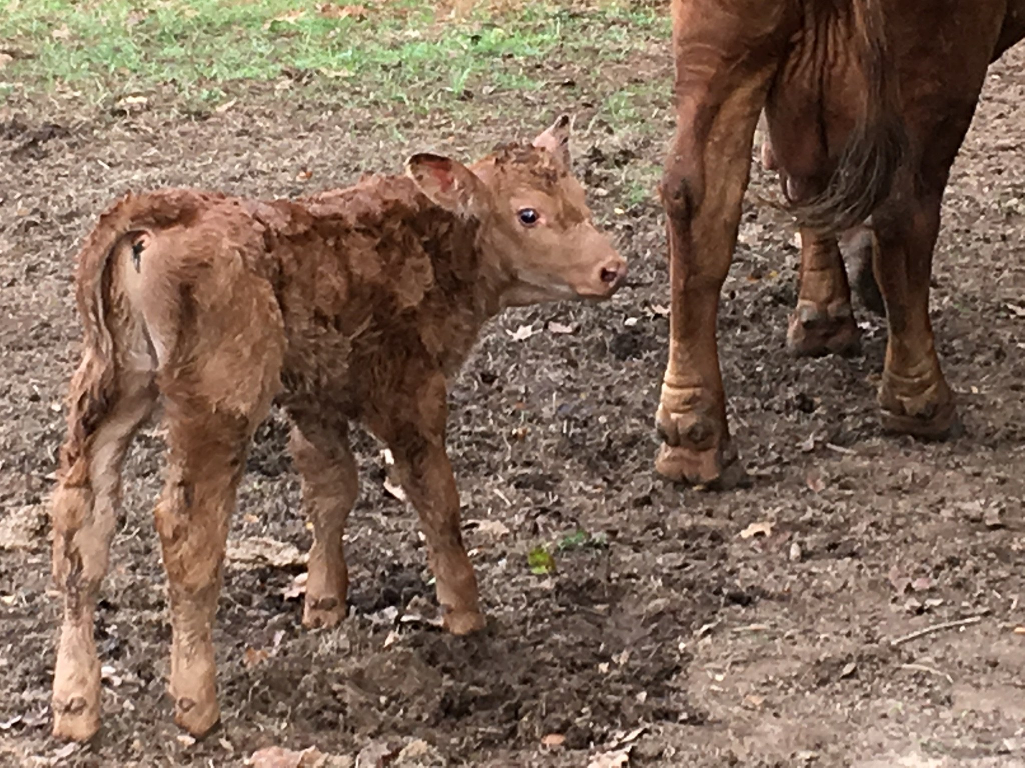 We have a have a passion for supporting and being ambassadors for the Beef Industry by providing accurate facts and reliable information to consumers.