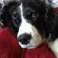 John Watson (@johnwatson2004) 's Twitter Profile