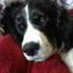 John Watson (@johnwatson2004) Twitter profile photo John Watson (@johnwatson2004) Twitter profile photo