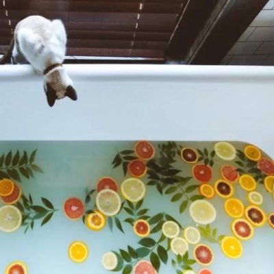 mu6_ui's profile picture. 