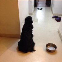 Rhik Kundu (@rhikkundu) 's Twitter Profile