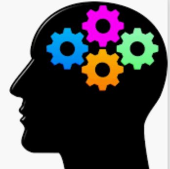 PeteQuizzy's profile picture. Views are my own. Quizzes are my own. Retweets are not endorsements.