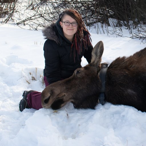 NP_Boucher's profile picture. PhD student at Uvic studying moose calf survival. MSc on #polarbear and #ringedseal diet in the Beaufort Sea. they/them or she/her