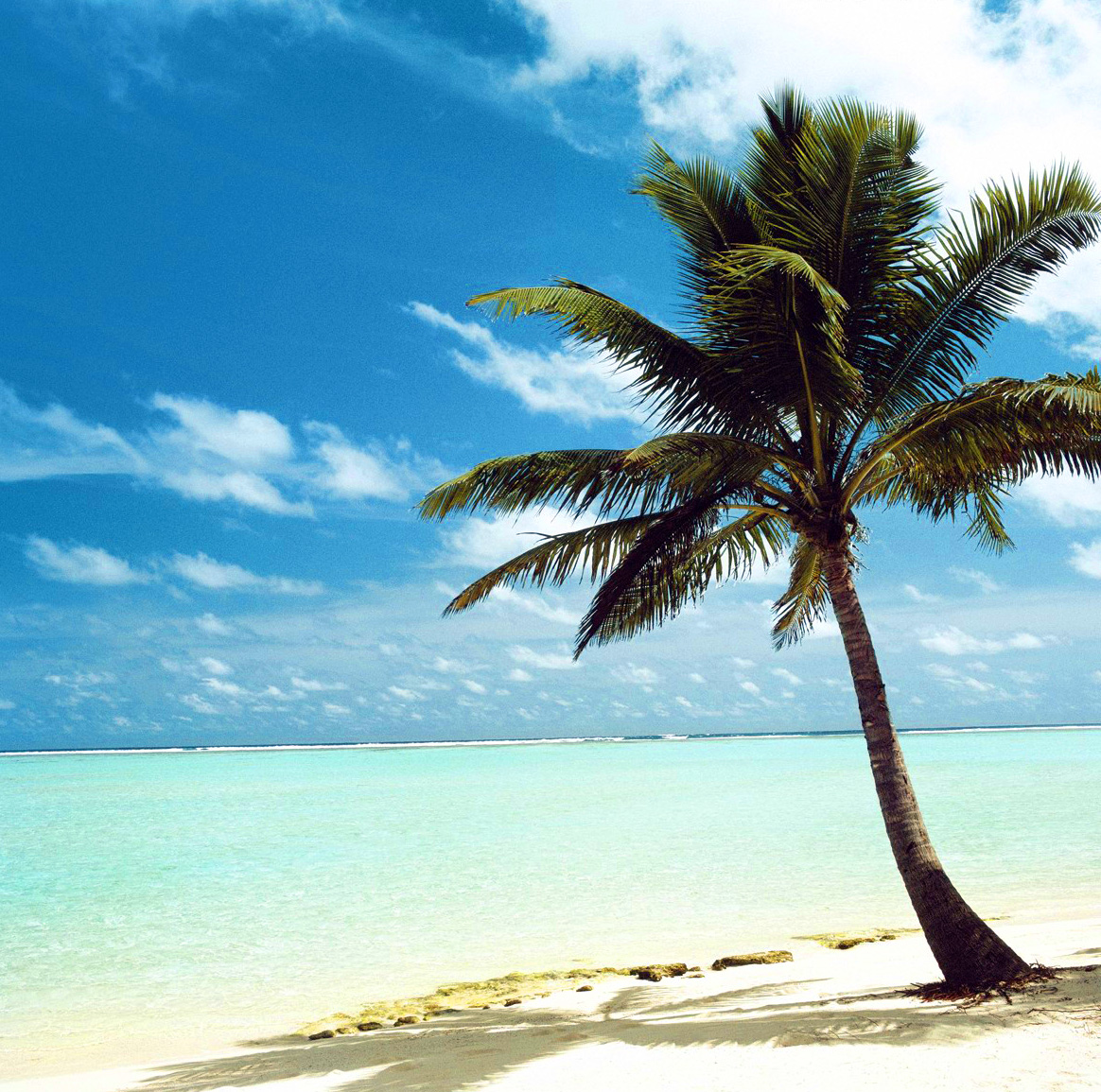 AZDesertDog7's profile picture. 