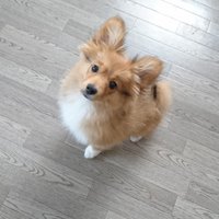 haruno.(てっぺい) (@tepe0717) 's Twitter Profile