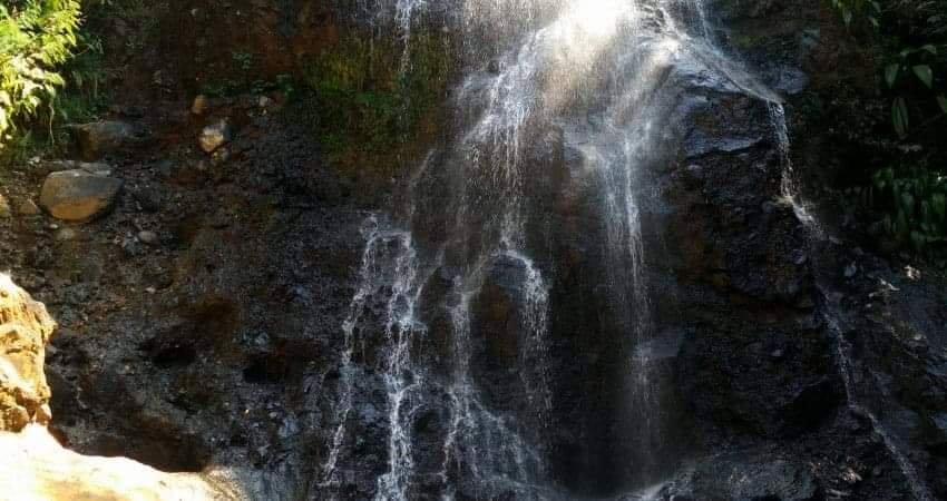 CoCo86006564's profile picture. 