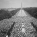 Democracy in America, Yale (@yaledeminam) Twitter profile photo Democracy in America, Yale (@yaledeminam) Twitter profile photo