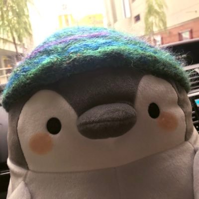 高城れにちゃん🫰🏻 猫ちゃんを迎えたい2025🐈 https://t.co/YEAZDvBayI
