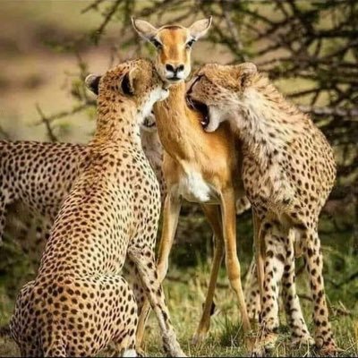 yuni36502399's profile picture. 