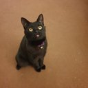 Mr Ian struthers - @struthers_mr - Twitter