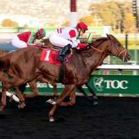 Horses for Autism (Taboada Racing Stables) (@taboadaracing) 's Twitter Profile
