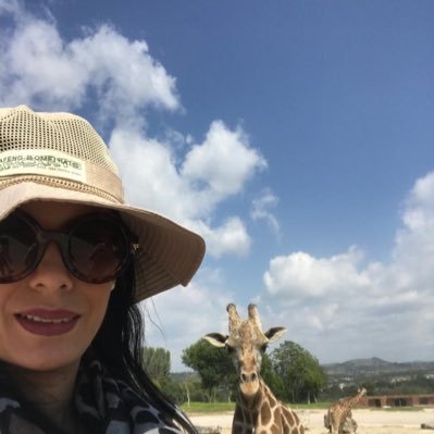 Sotelollu's profile picture. 