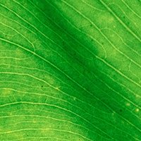 Abhinash panigrahi (@abhinashpanigr2) 's Twitter Profile