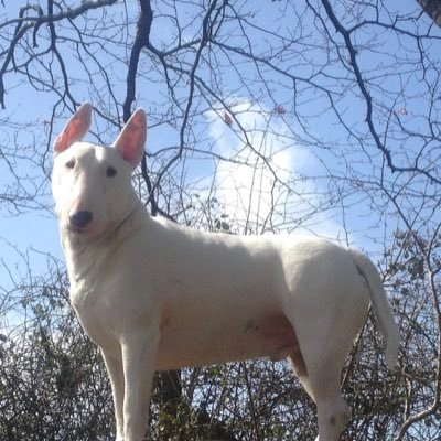 AmeliaW61506634's profile picture. 