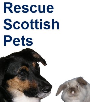 We are Rescue Scottish Pets :) A website set up to help charities advertise their pets in need. Visit our website at:
https://t.co/sdAoVRZ7ol