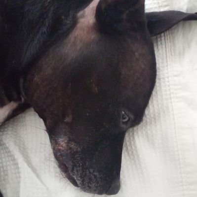 tice1973's profile picture. https://t.co/h5bCS9zNru The home of all your kiting needs.......