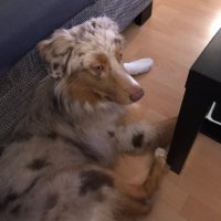 Oiram Vllzhlr (@mario_leip) Twitter profile photo