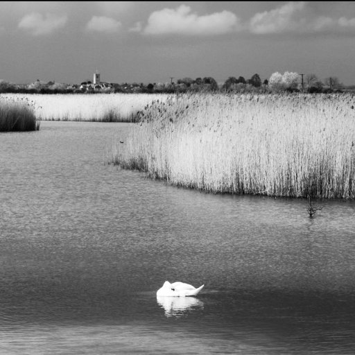 NONE opposes the construction of the Oxford to Cambridge Expressway because of the damage to our countryside and its environmental impact.