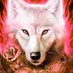 Kyo_Yaiba (@insanitieswolf) Twitter profile photo Kyo_Yaiba (@insanitieswolf) Twitter profile photo