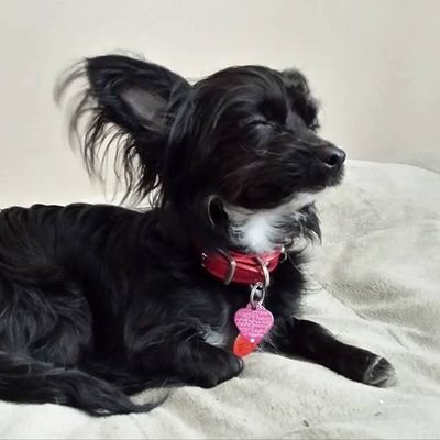 jenniferprimro2's profile picture. 