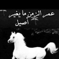 الاصيله🐎ربى قل لأحلامى كوني💛💙 (@yj2__) Twitter profile photo