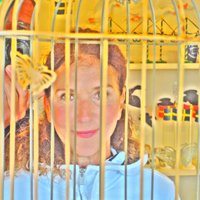 teresa hak (@teresahak) 's Twitter Profile