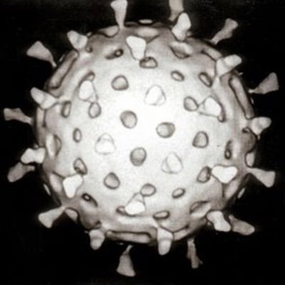 virus75004160 Profile Picture