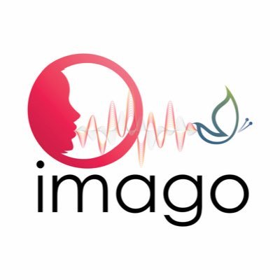 Cursos de Aperfeiçoamento profissional. Desenvolvimento e execução de projetos de acessibilidade comunicacional.