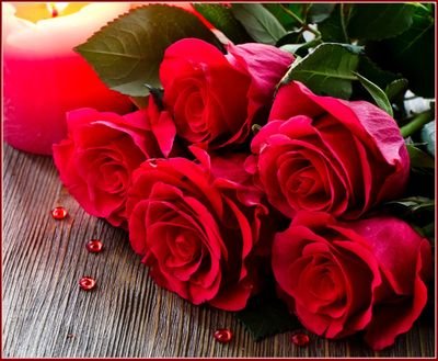 Roses are the beautiful creation by the God 😍😘😍