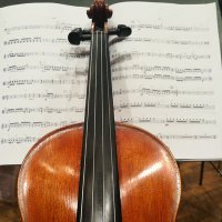 Violingi BRATSCHKRAFT(@Violingi) 's Twitter Profile Photo