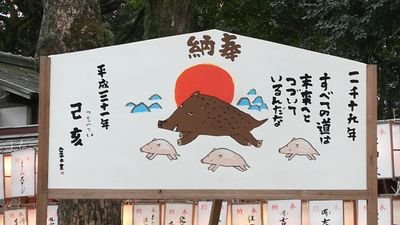 チワワと茶トラ猫と同居中🐾
不幸な動物を減らしたい。ペット飼養の許可制導入。販売業の数値規制厳重化。マイクロチップ義務化などなど希望。